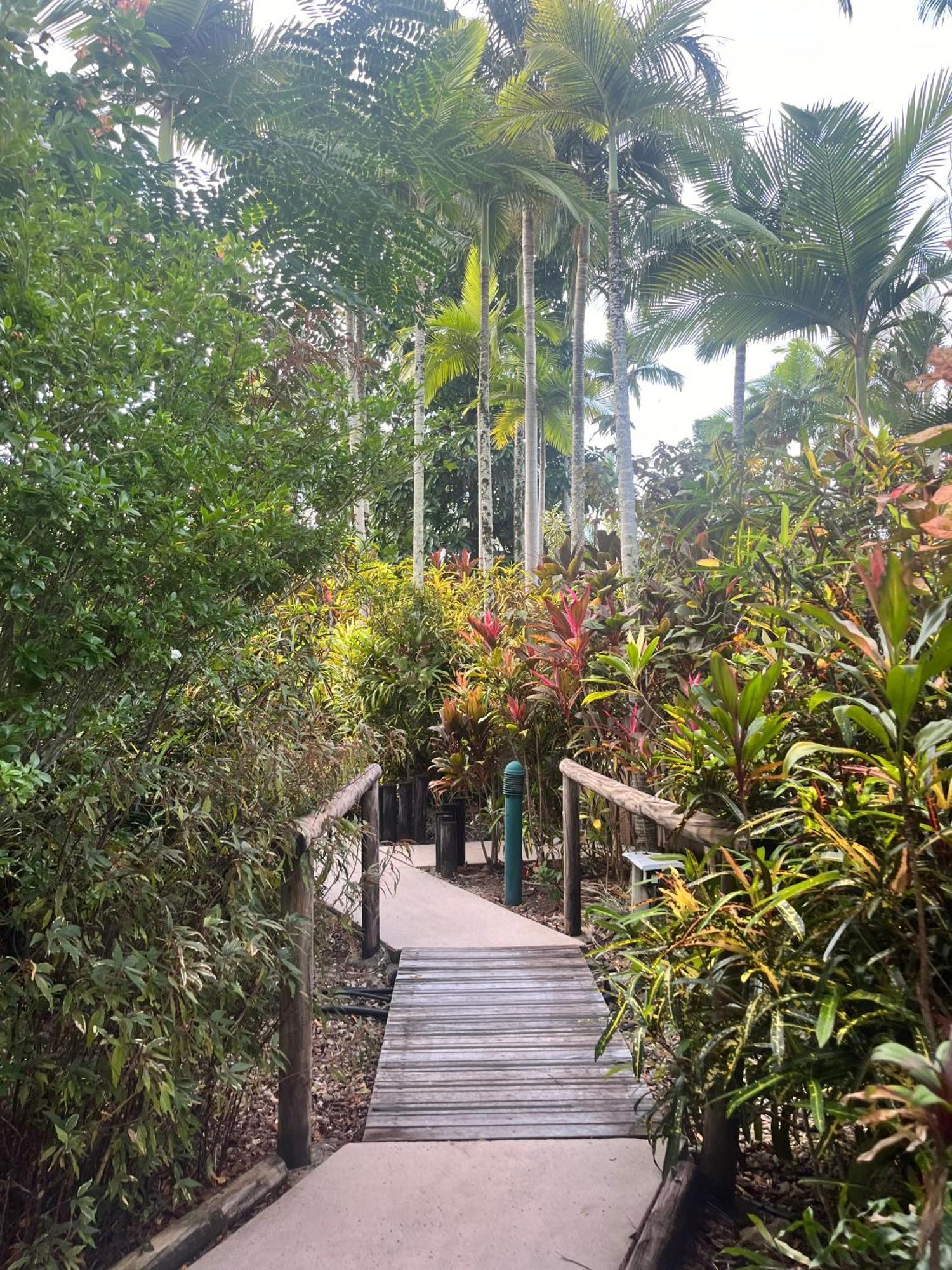 The Villas Palm Cove Eksteriør billede
